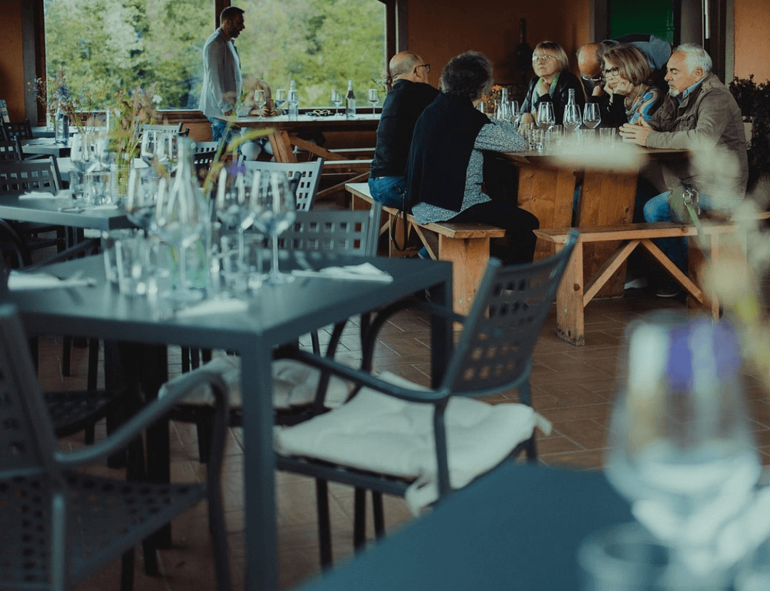 Wine Tasting Experience - Tenuta Adamo Winery