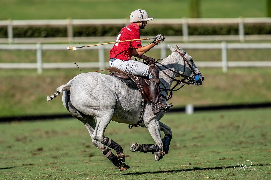Villa e sesta polo & Equestrian Club